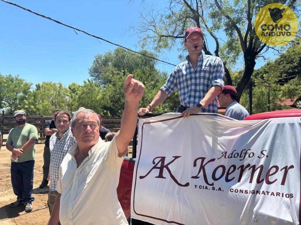 Adolfo S. Koerner y Cía